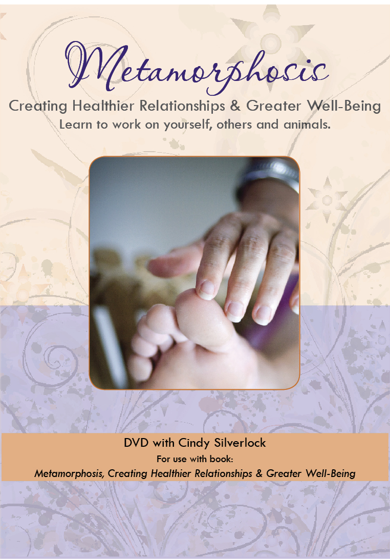Metamorphosis DVD